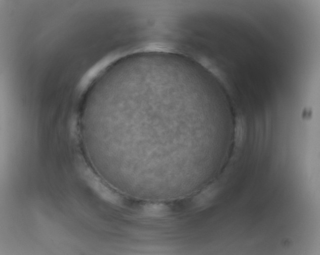 X0000114651454200910201458