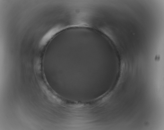 X0000114651455200910201458