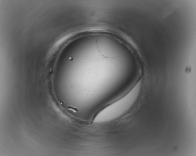 X0000114651456200910201458