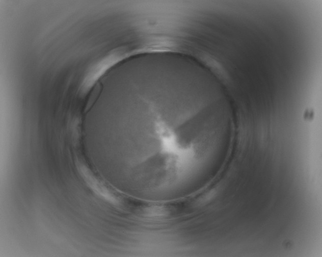 X0000114651457200910201458