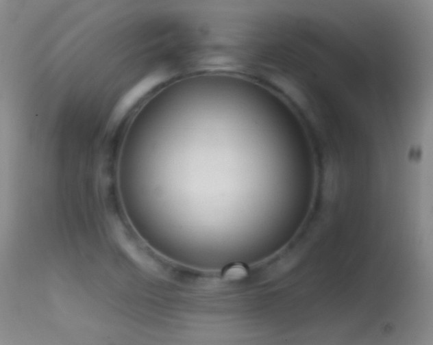 X0000114651458200910201458