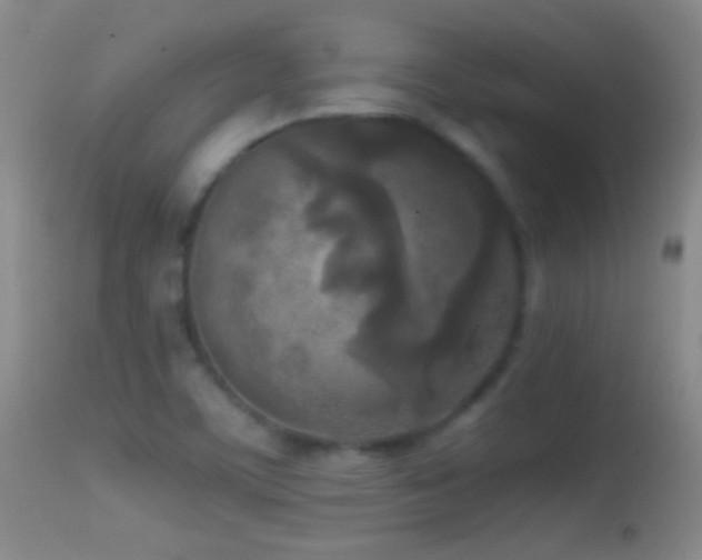 X0000114651459200910201458