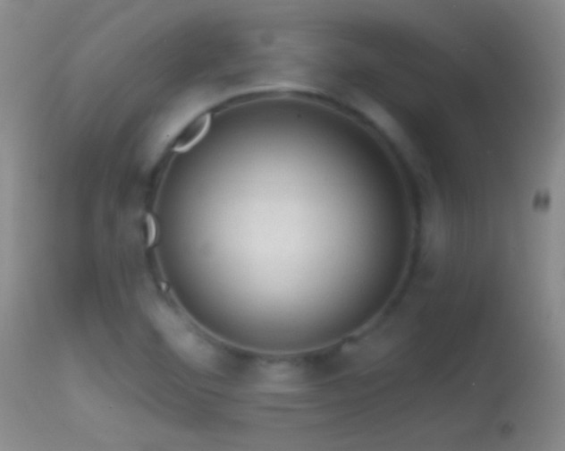 X0000114651460200910201458
