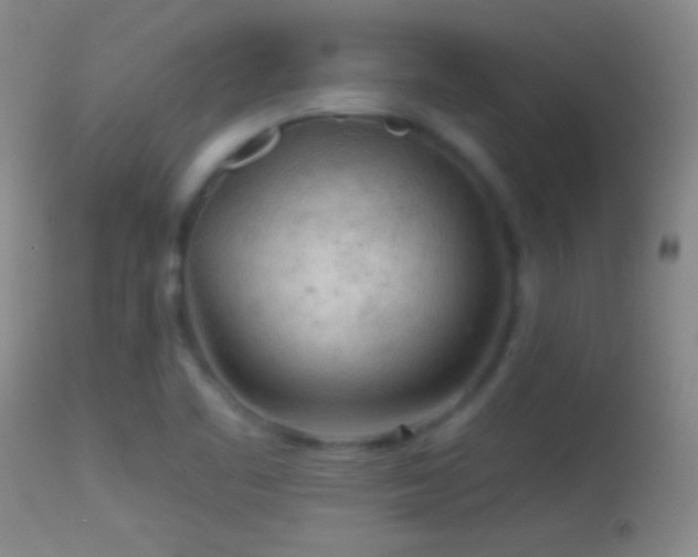 X0000114651461200910201458