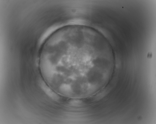 X0000114651462200910201458