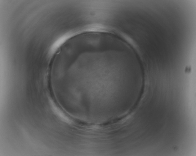 X0000114651463200910201458
