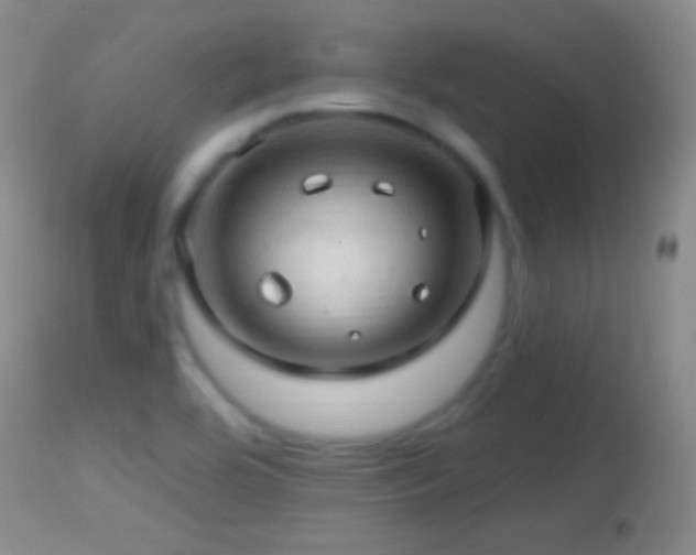 X0000114651464200910201458