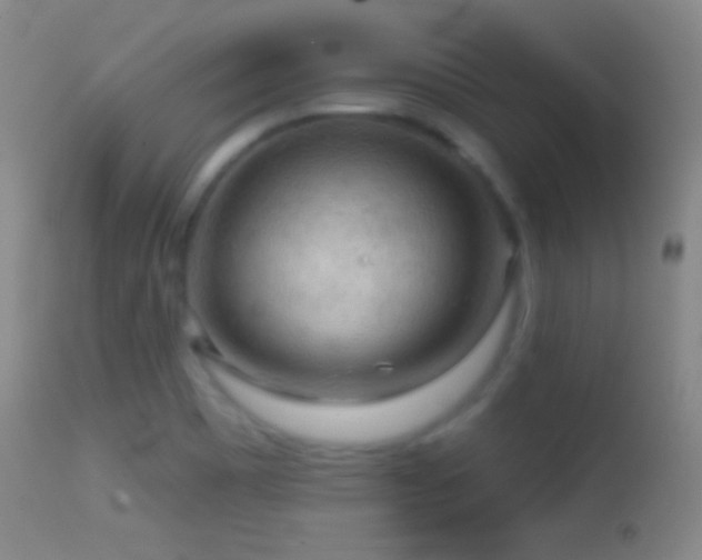 X0000114651465200910201458