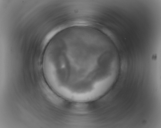 X0000114651466200910201458