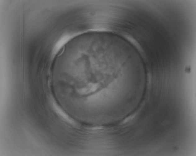 X0000114651467200910201457