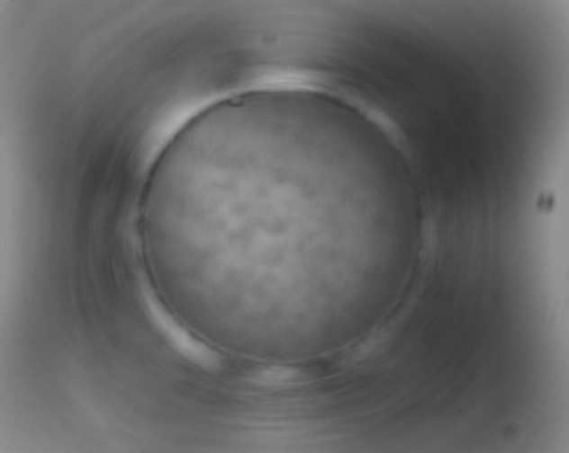 X0000114651470200910201457