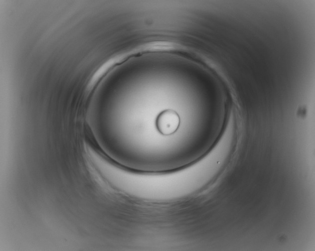X0000114651473200910201457