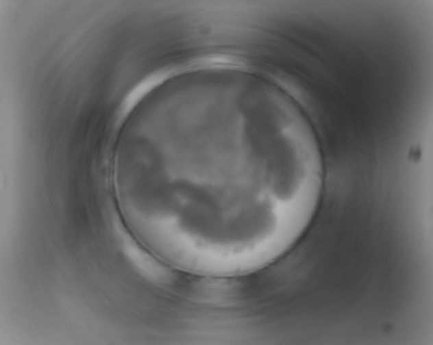X0000114651474200910201457