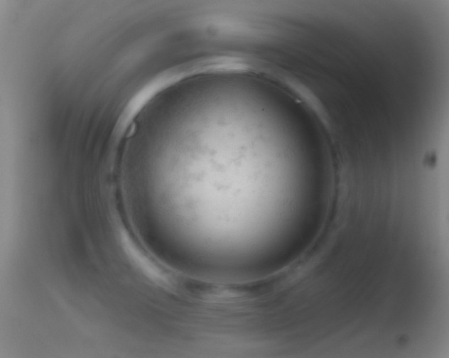 X0000114651475200910201457