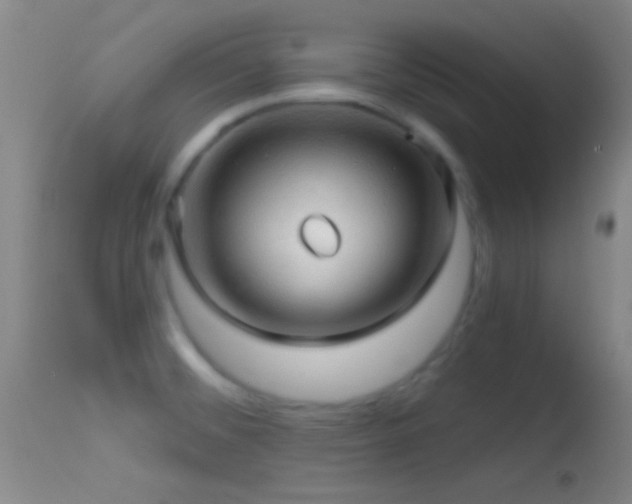 X0000114651476200910201457