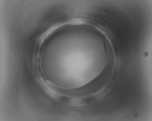 X0000114651477200910201457