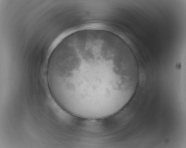 X0000114651478200910201457