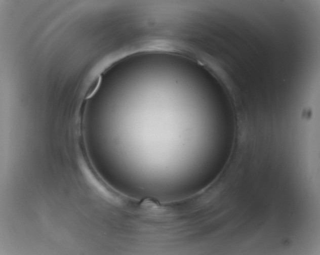 X0000114651479200910201457