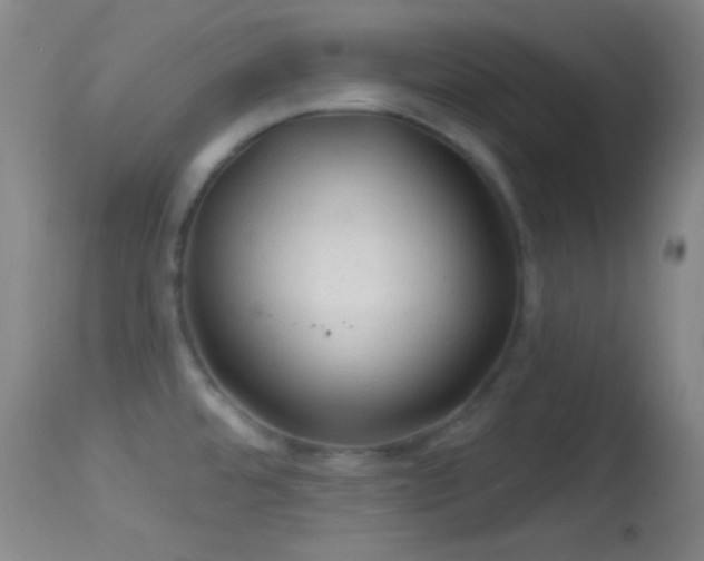 X0000114651480200910201457