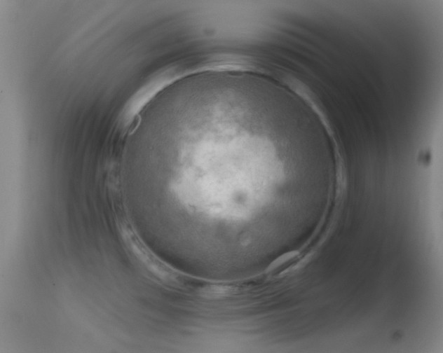 X0000114651481200910201457