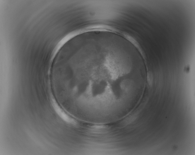 X0000114651482200910201457