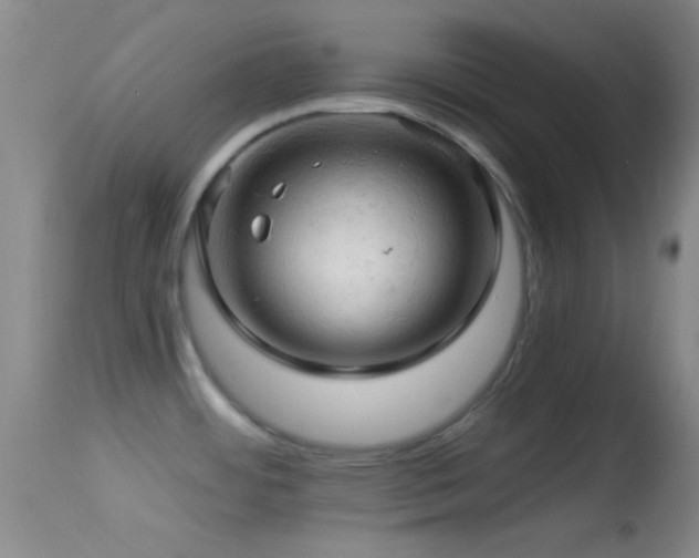 X0000114651484200910201457
