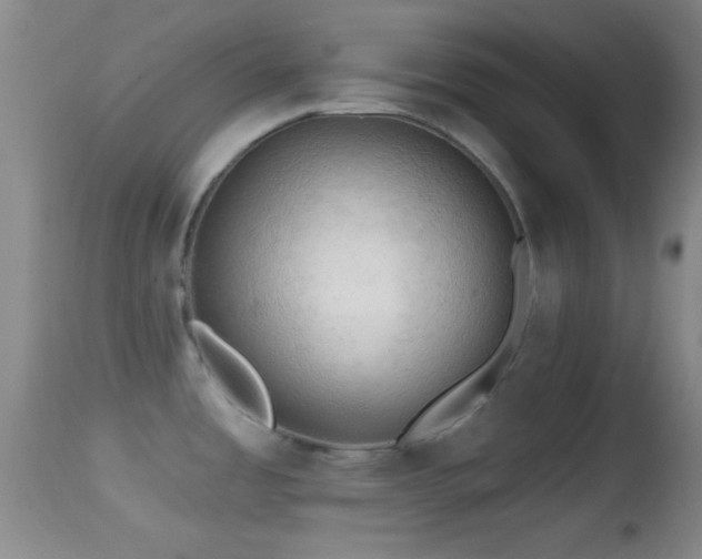 X0000114651485200910201457