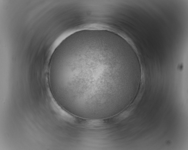 X0000114651486200910201457