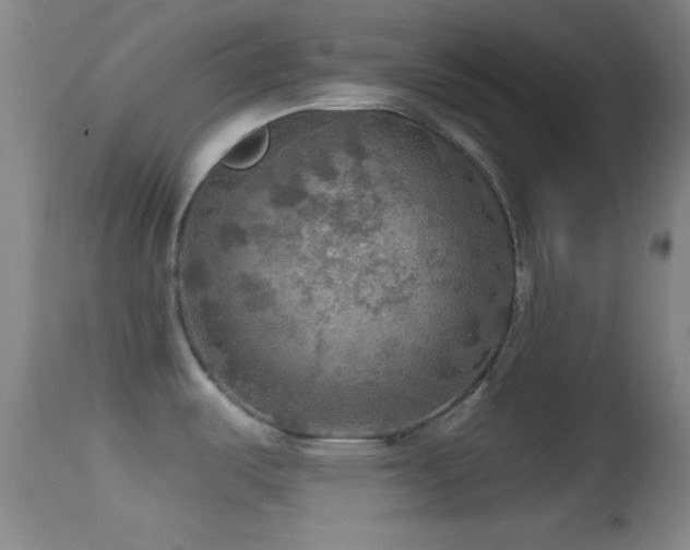 X0000114651487200910201457