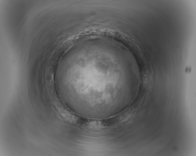X0000114651489200910201456