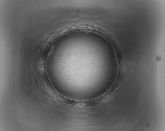 X0000114651490200910201457