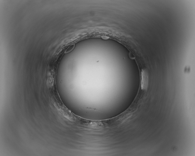 X0000114651491200910201457