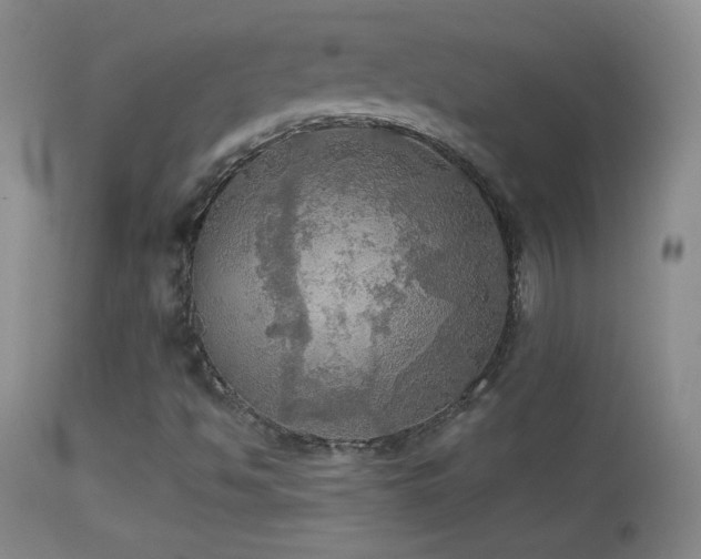 X0000114651494200910201457