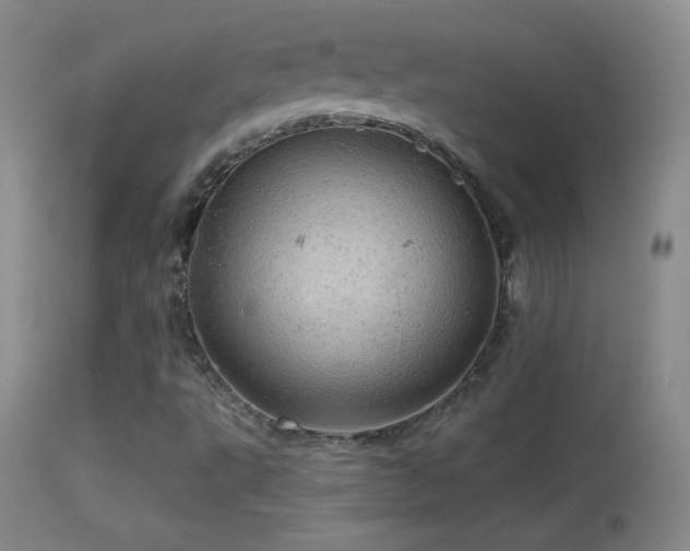 X0000114651495200910201457