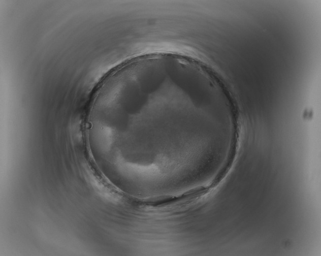 X0000114651497200910201457
