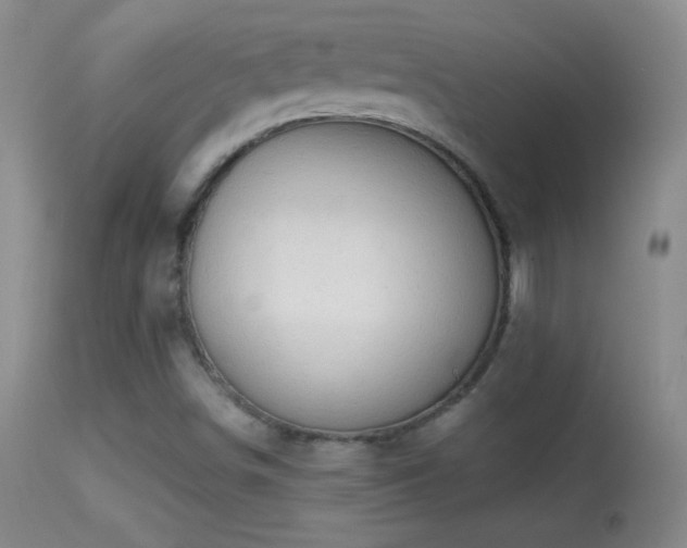 X0000114651498200910201457