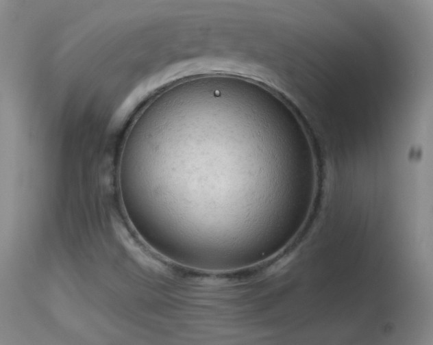 X0000114651499200910201457