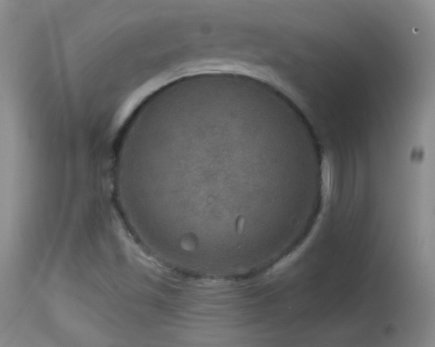 X0000114651501200910201457