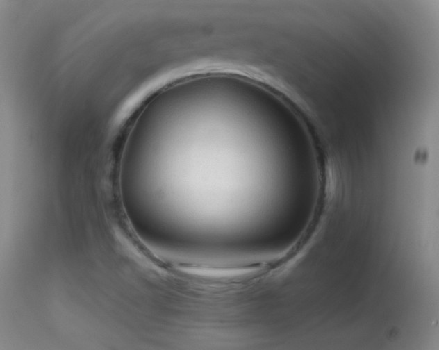 X0000114651502200910201457