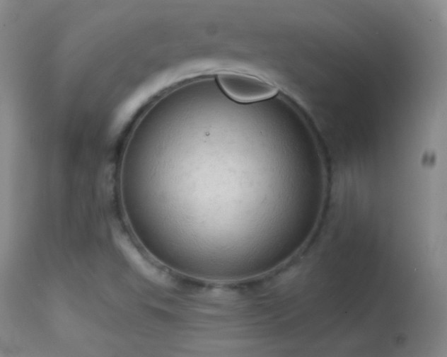 X0000114651503200910201457