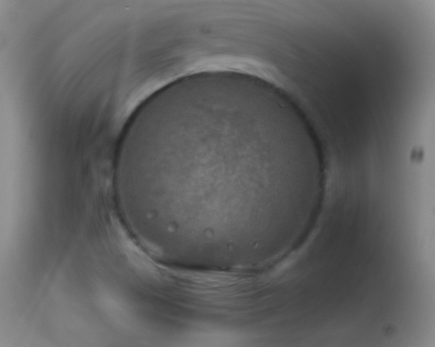 X0000114651505200910201457