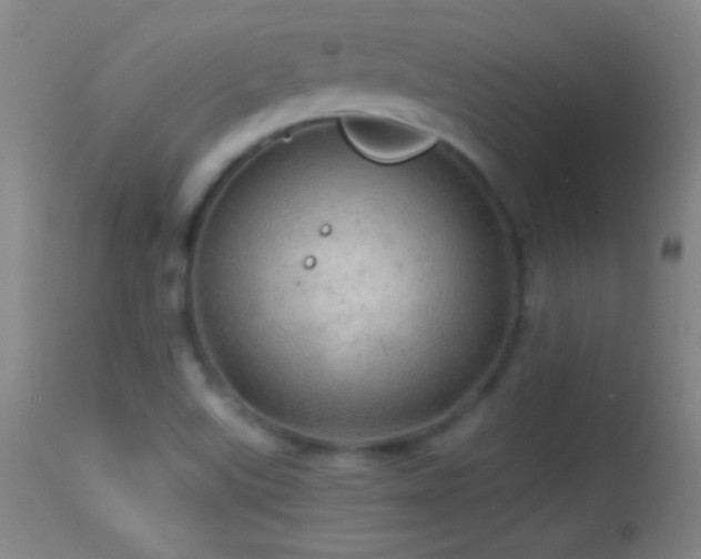 X0000114651507200910201457