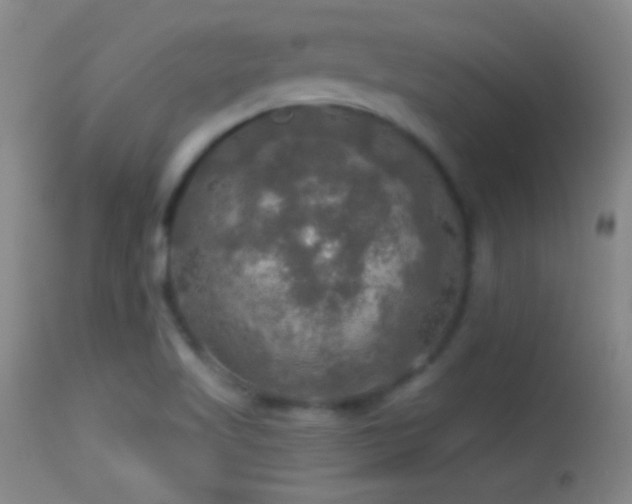 X0000114651509200910201457