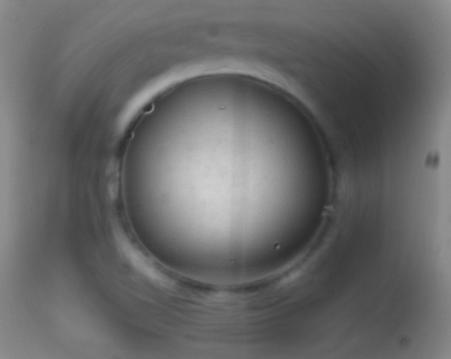 X0000114651510200910201457