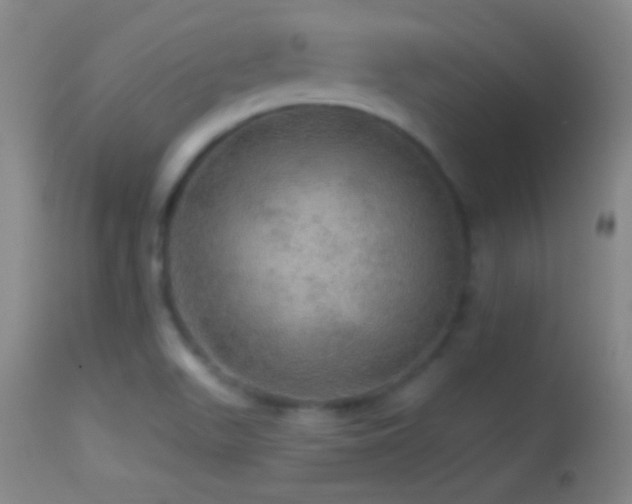 X0000114651511200910201457