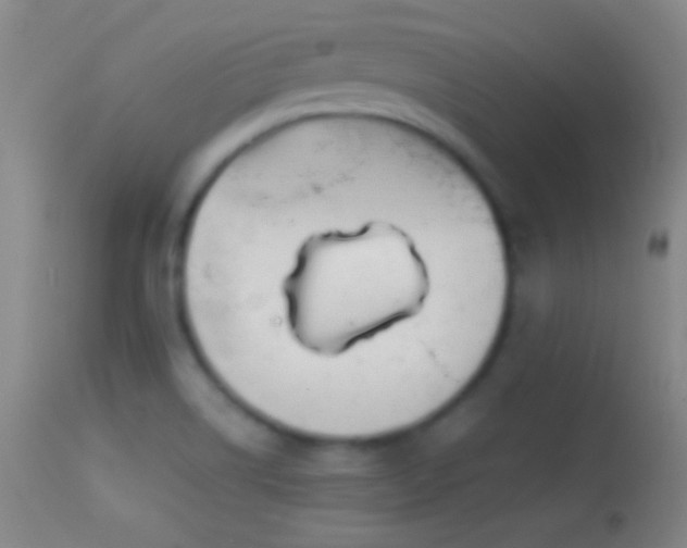 X0000114651514200910201457