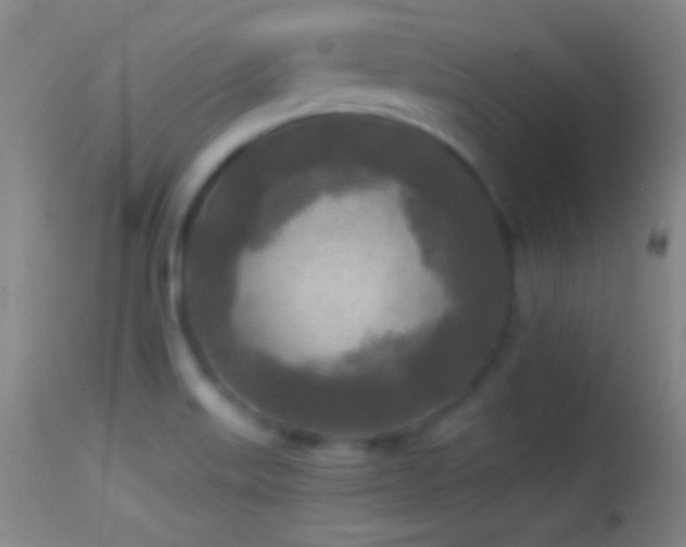 X0000114651515200910201457