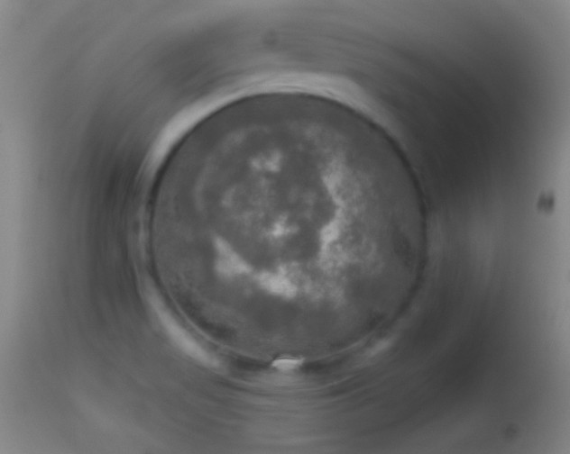 X0000114651517200910201457