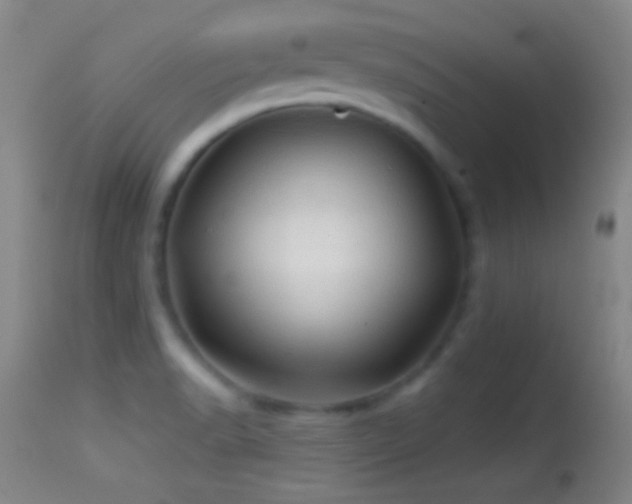 X0000114651518200910201457