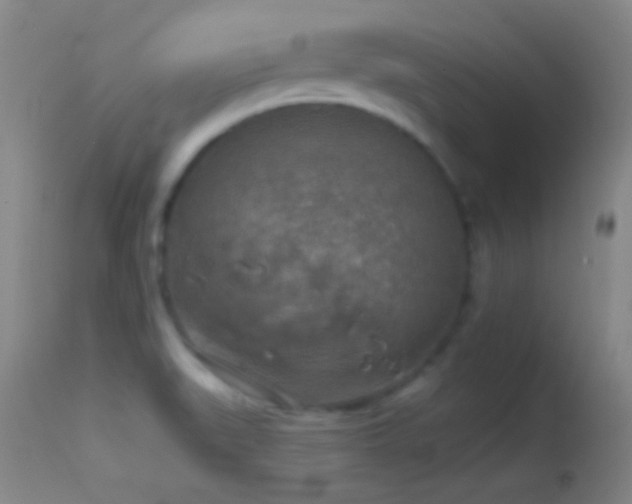 X0000114651519200910201457